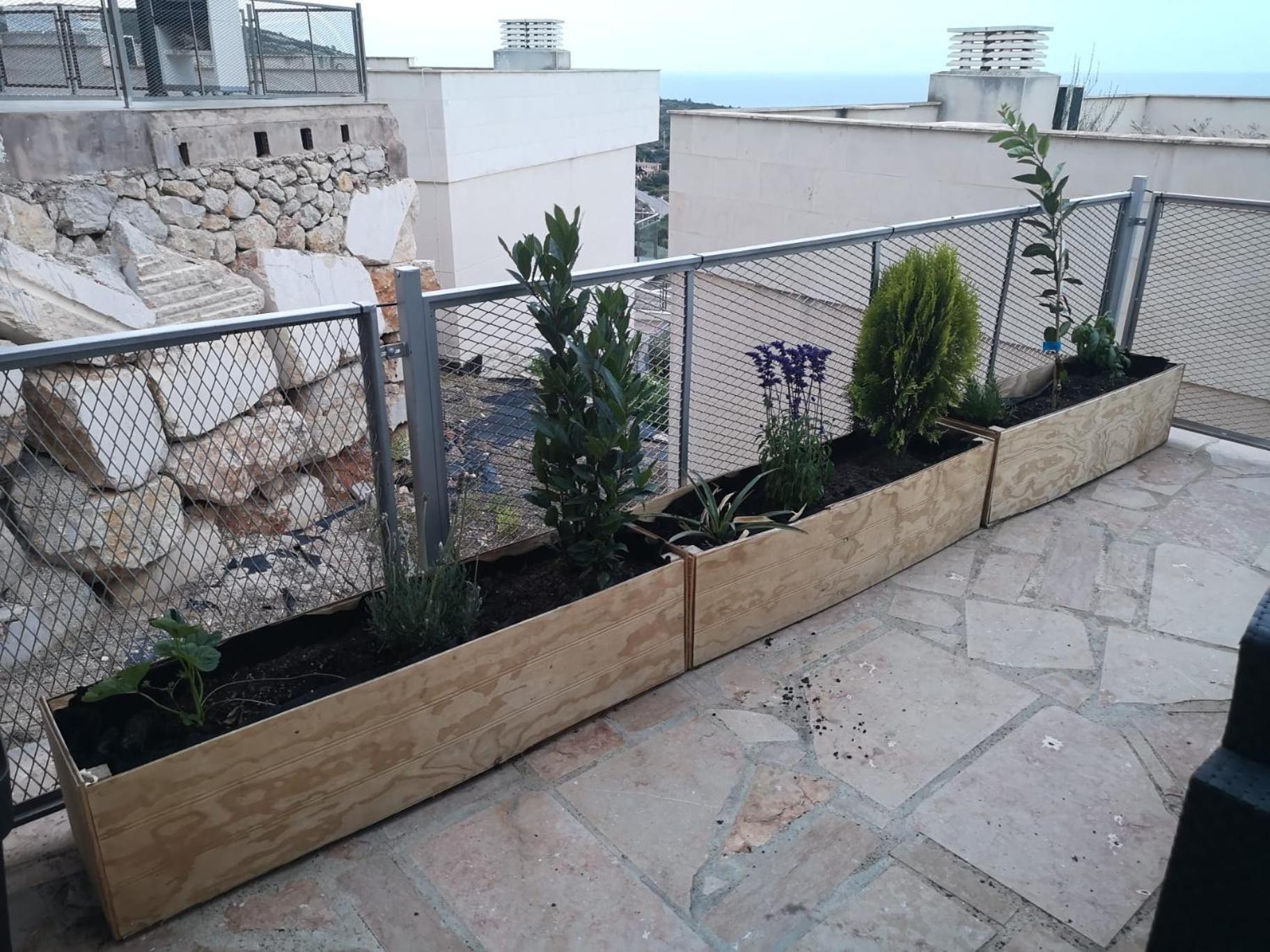 شقة La Casa Del Mirlo Azul - Peñíscola المظهر الخارجي الصورة